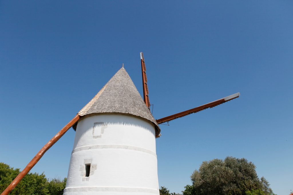 toit du Moulin de la brée - Ile d'oléron