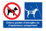 chiens guides acceptés